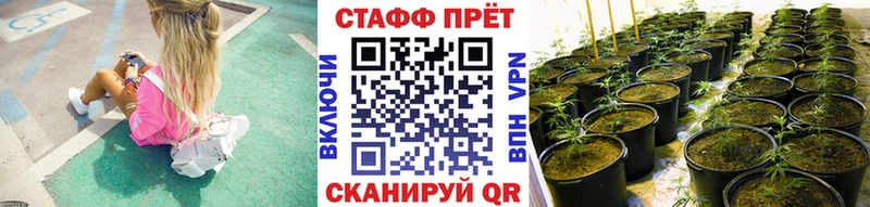 Названия наркотиков Могоча Марихуана  COCAIN  A-PVP  МЕФ  ГАШИШ 