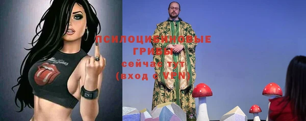 кристаллы Богданович