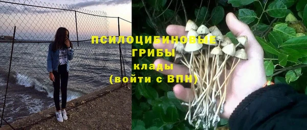 экстази Богородск