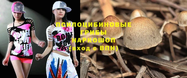 круглые Богородицк