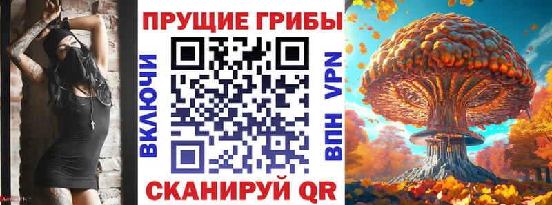 где купить   Могоча  Псилоцибиновые грибы мицелий 